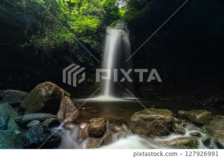 盛夏的山谷－白藤瀑布 127926991