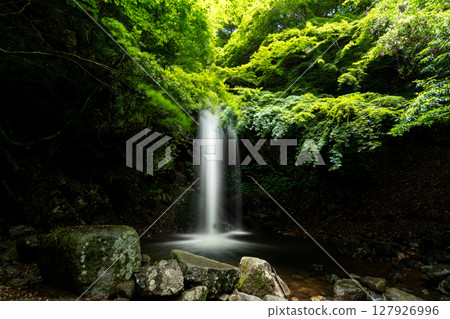 Shirafuji Falls, a midsummer valley 127926996