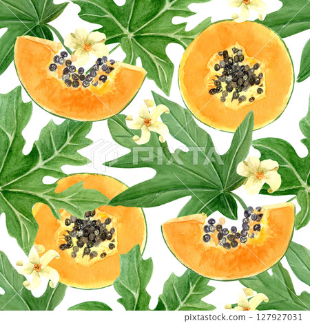 Papaya fruit slice, leaf and flowers watercolor seamless border isolated on white. Hand drawn illustration perfect for cards, banners, tape, textile, stationary design. Exotic plant clipart. Lush Papaya fruit slice, leaf and flowers watercolor seamless border isolated on white. Hand drawn illustration perfect for cards, banners, tape, textile, stationary design. Exotic plant clipart. Lush 127927031