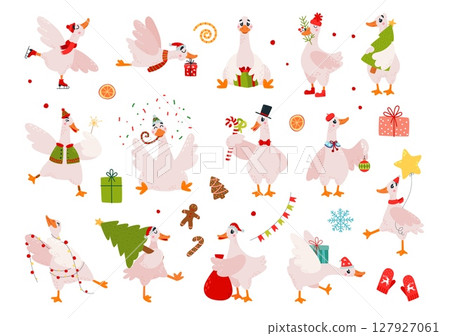 Christmas cartoon geese. Goose in different poses with various items, gifts, sweets, fir tree. New year style farm birds characters, isolated classy vector set Christmas cartoon geese. Goose in different poses with various items, gifts, sweets, fir tree. New year style farm birds characters, isolated classy vector set 127927061