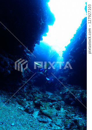 Diving scene in the sea of Iriomote Island Diving scene in the sea of Iriomote Island 127927103