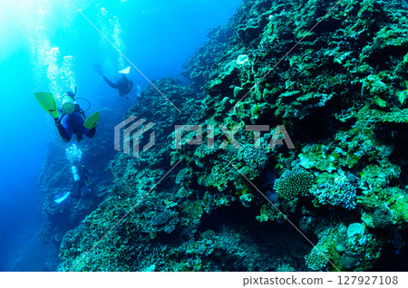 Diving scene in the sea of Iriomote Island 127927108