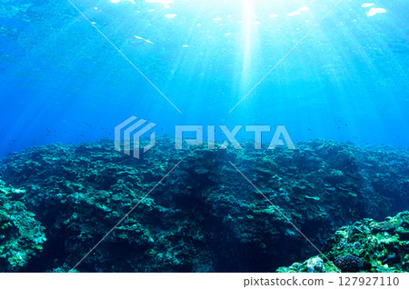 西表島海底潛水風景 127927110