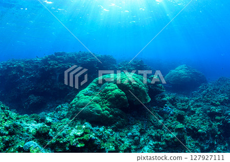 西表島海底潛水風景 西表島海底潛水風景 127927111