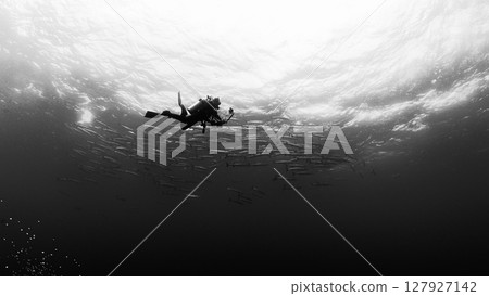 Diving scene in the sea of Iriomote Island Diving scene in the sea of Iriomote Island 127927142