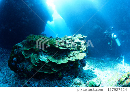 西表島海底潛水風景 127927324