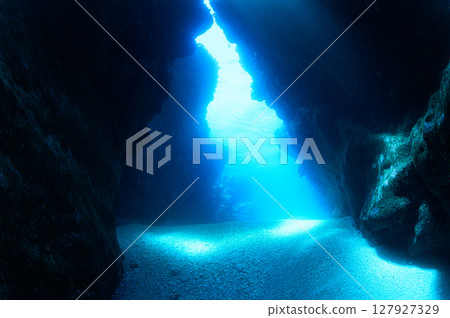 西表島海底潛水風景 127927329