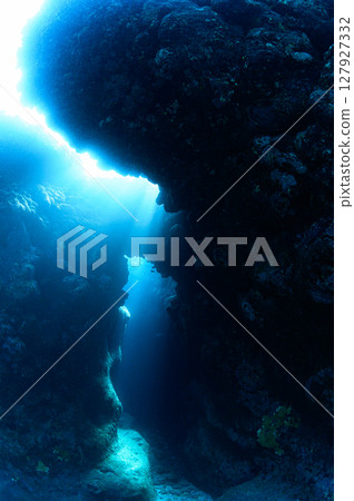 西表島海底潛水風景 西表島海底潛水風景 127927332