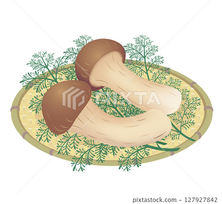 Matsutake mushrooms Matsutake mushrooms 127927842