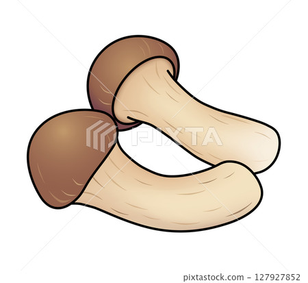 Matsutake icon 127927852