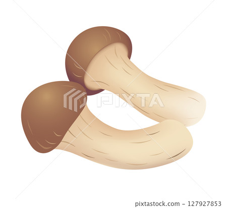 松茸圖標 松茸圖標 127927853