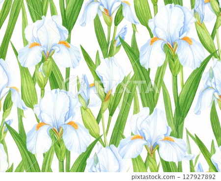 Beautiful crocus and daisy spring flowers blossom in green meadow grass, a vibrant floral nature background Beautiful crocus and daisy spring flowers blossom in green meadow grass, a vibrant floral nature background 127927892