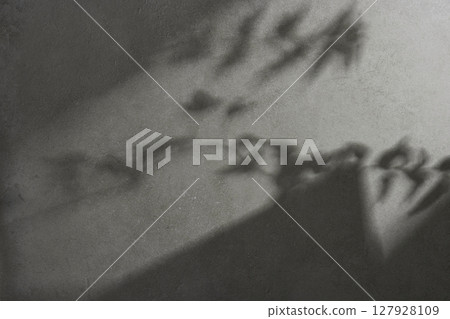Minimal Natural Light and Shadow Composition for Lifestyle and Background Use. Minimal Natural Light and Shadow Composition for Lifestyle and Background Use. 127928109