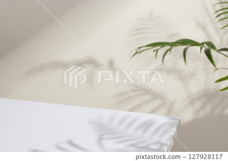 Minimal Natural Light and Shadow Composition for Lifestyle and Background Use. 127928117