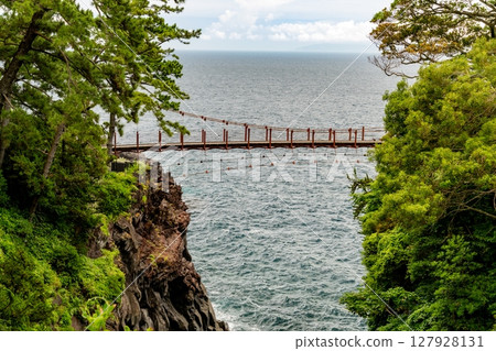Suspension bridge on Jogasaki coast 127928131