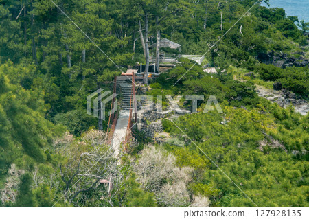 在Jogasaki海岸的吊橋 127928135