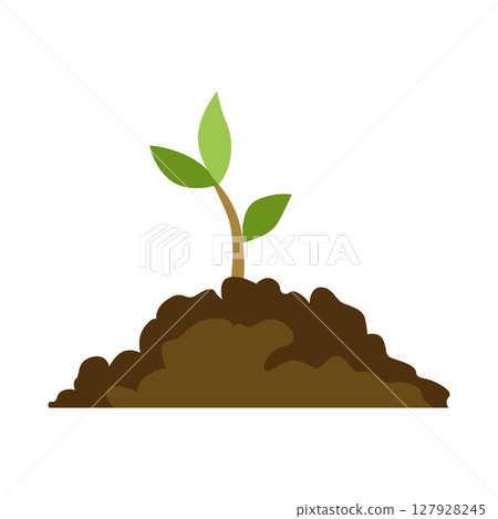Stage of tree growth. Small tree growth with green leaf and branches. Illustration of business cycle development 127928245