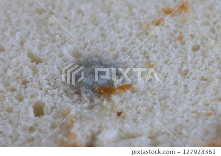 Mold on white bread close up 127928361