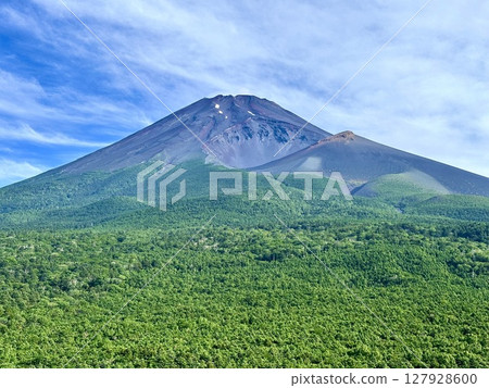 Mt. Fuji in early summer Mt. Fuji in early summer 127928600