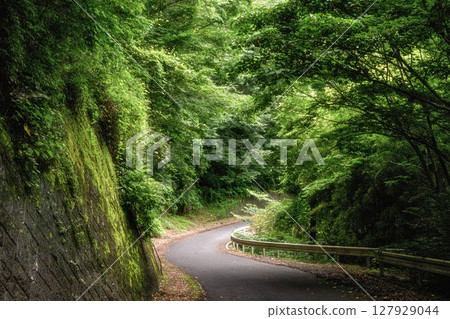 Fresh greenery on Mt. Nantai in Okukuji, climbing scenery 127929044