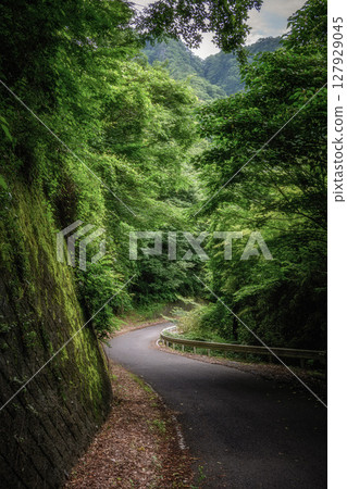 奧久慈男體山新綠、登山風景 奧久慈男體山新綠、登山風景 127929045