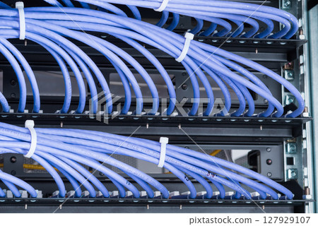 large group of UTP cables, Ethernet cables in rack cabinet, lead large group of UTP cables, Ethernet cables in rack cabinet, lead 127929107