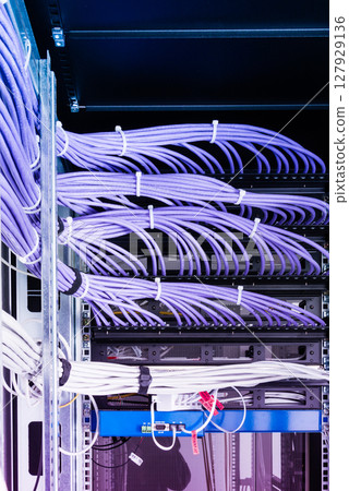 large group of UTP cables, Ethernet cables in rack cabinet, lead 127929136