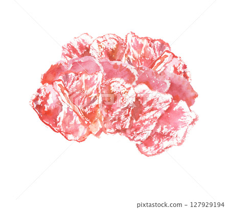Horse meat watercolor illustration 127929194