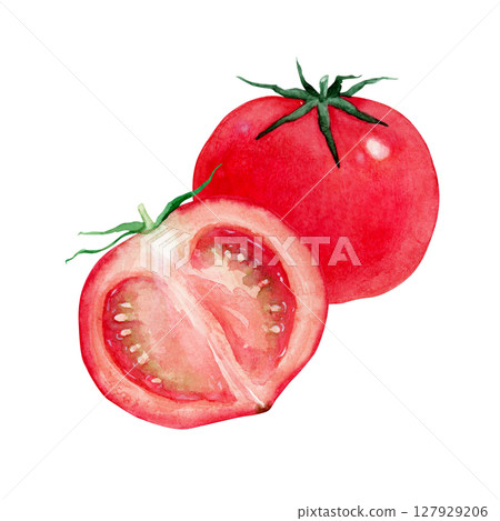 番茄紅色蔬菜橫斷面水彩插圖 127929206