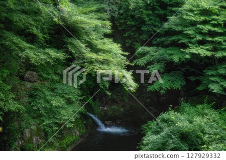 鮮綠的潮見瀑布吊橋 鮮綠的潮見瀑布吊橋 127929332