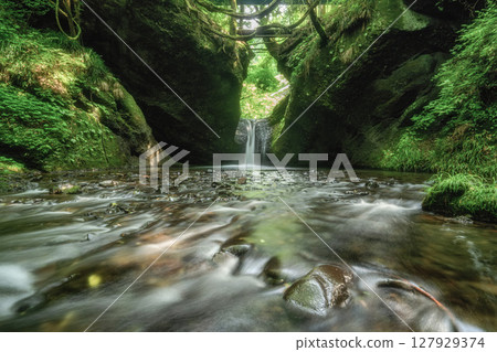 吉野平不動瀑布的新綠 127929374