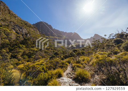 Lake Rodway Track in Tasmania Australia Lake Rodway Track in Tasmania Australia 127929559