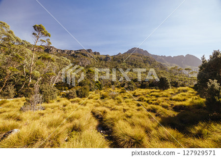 Lake Rodway Track in Tasmania Australia Lake Rodway Track in Tasmania Australia 127929571