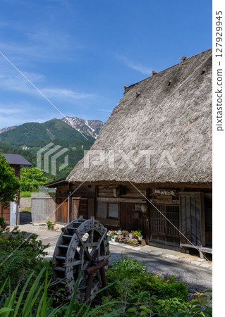 初夏的白川鄉合掌屋、水車、花和雪山 初夏的白川鄉合掌屋、水車、花和雪山 127929945