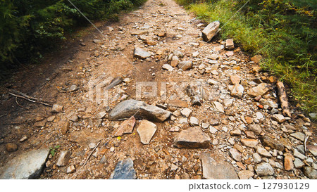 Rugged mountain path winding through verdant woodland, challenging hikers with scenic wilderness terrain and dense forest landscape Rugged mountain path winding through verdant woodland, challenging hikers with scenic wilderness terrain and dense forest landscape 127930129
