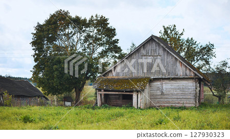 Weathered wooden barn nestled amid lush grassland, revealing structural decay and nostalgic rural atmosphere 127930323