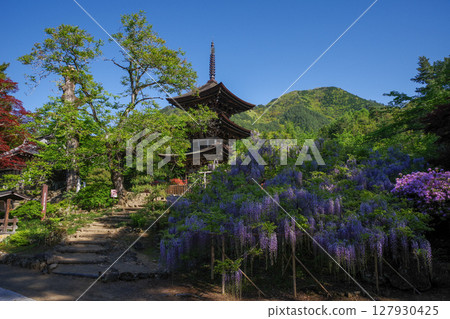 A three-story pagoda surrounded by wisteria flowers 127930425