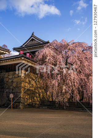 上田城堡和櫻花 上田城堡和櫻花 127930467
