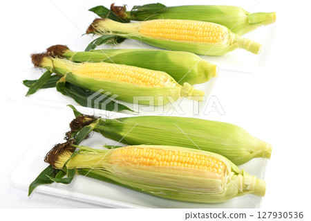 玉米（野餐玉米） 127930536