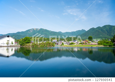 Fresh greenery at Minamijigami Pond (commonly known as Jiji Pond) in Mizusawa Town, Yokkaichi City, Mie Prefecture 127930541