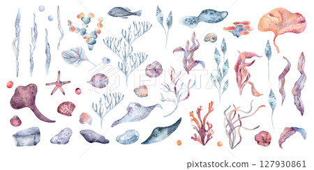 Watercolor marine clipart set with stingray, seashells, seaweed, coral, rocks, and bubbles isolated. Hand painted ocean life elements in soft dusty pinks blues. Underwater botanical illustrations. Watercolor marine clipart set with stingray, seashells, seaweed, coral, rocks, and bubbles isolated. Hand painted ocean life elements in soft dusty pinks blues. Underwater botanical illustrations. 127930861