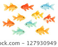 夏日金魚套裝：色彩繽紛、可愛的插圖 127930949