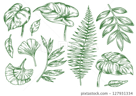 tropical, sketch, vector 127931334
