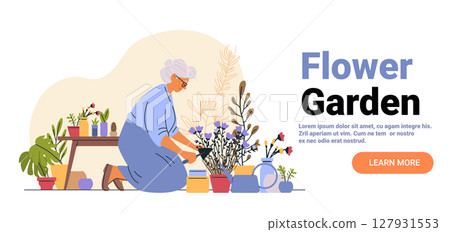 Flower garden elderly woman gardening plants colorful pots outdoor hobby nature care website banner 127931553
