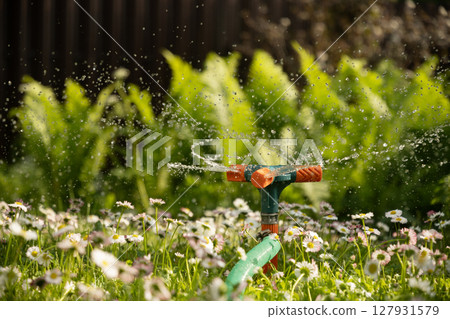 Watering garden with hose at heat summer. Close up. 127931579