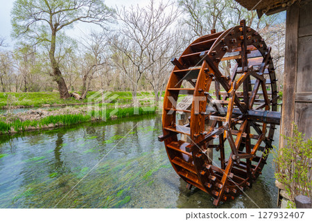 長野縣安曇野市蓼川的清澈河水和水車 127932407