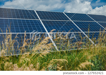 Overgrown grass surrounds solar panels in a countryside setting 127932421