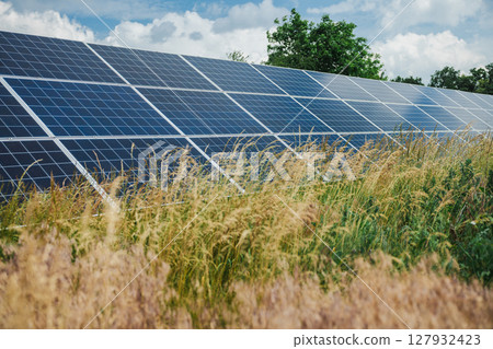 Photovoltaic solar panels in a countryside field with tall wild grass growing around the base 127932423