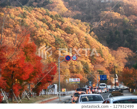 Autumn leaves on the shores of Lake Kawaguchi in front of the Wine Museum (Fujikawaguchiko Town, Yamanashi Prefecture) Autumn leaves on the shores of Lake Kawaguchi in front of the Wine Museum (Fujikawaguchiko Town, Yamanashi Prefecture) 127932499