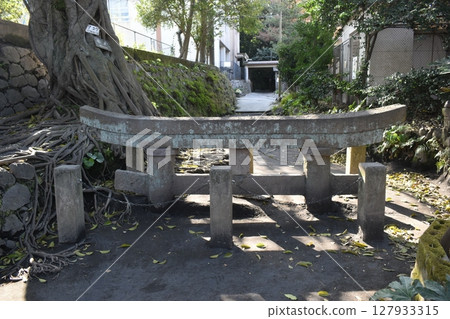 Kurokami Buried Torii Kagoshima Sakurajima Torii 127933315